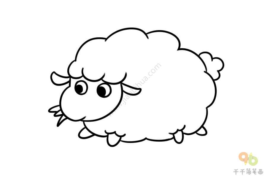 爱吃草的绵羊简笔画图片