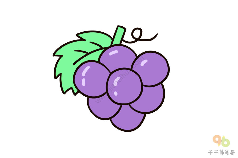 紫色的葡萄简笔画