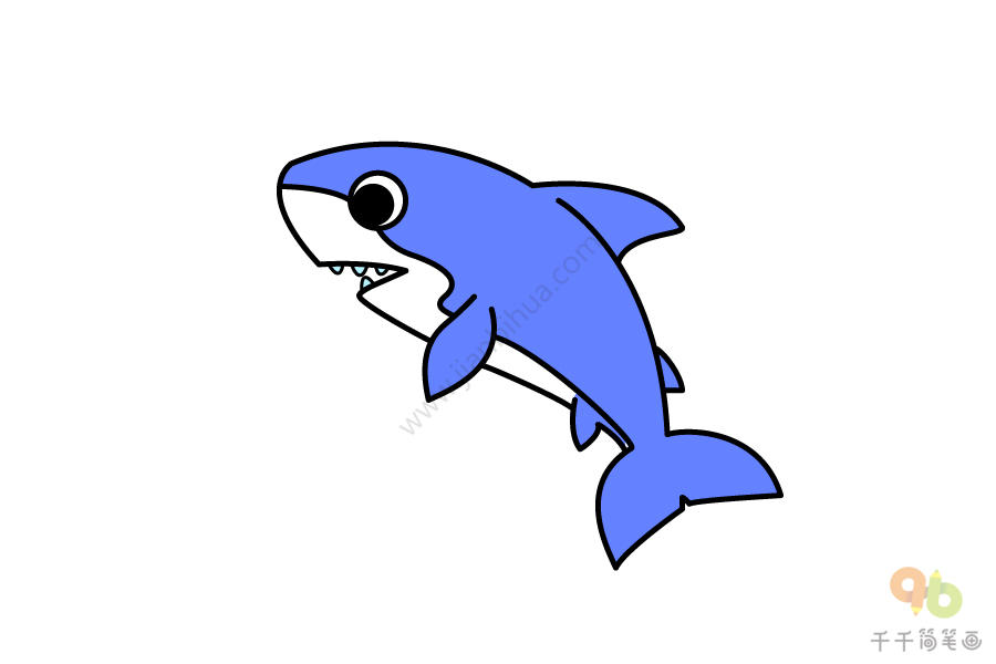 白鳍鲨简笔画图片