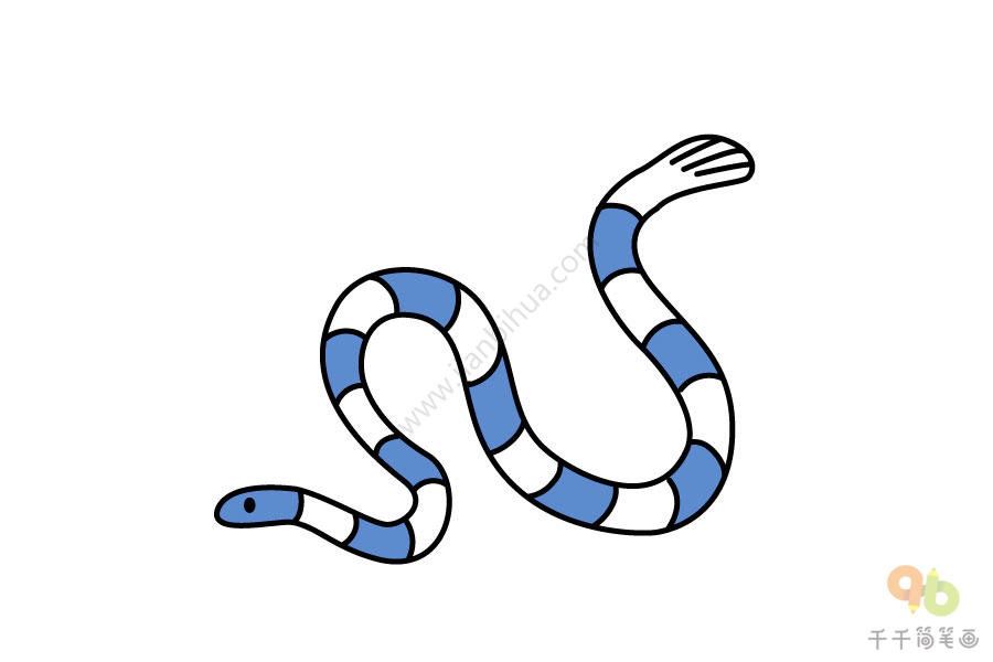 海蛇简笔画步骤图 海洋动物简笔画