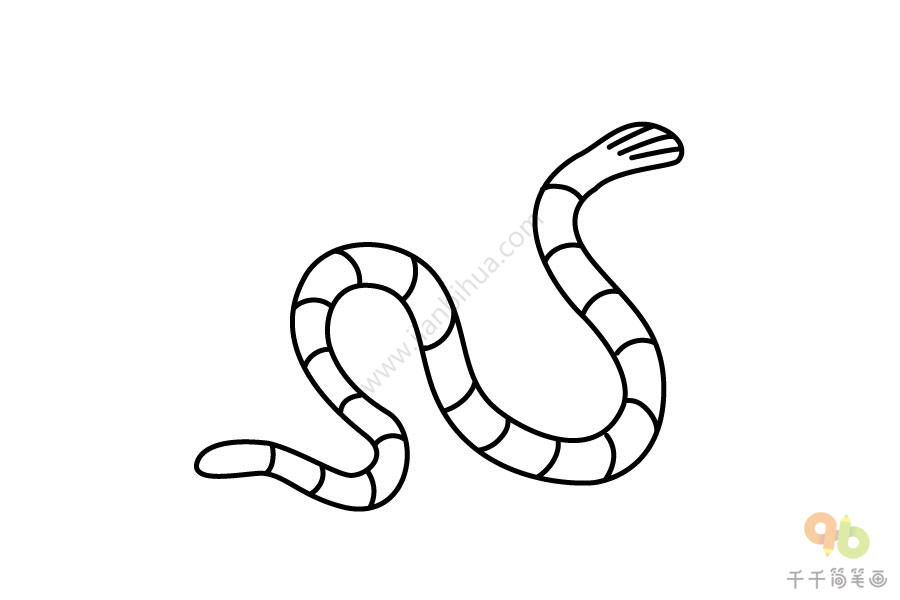 黄腹海蛇简笔画图片
