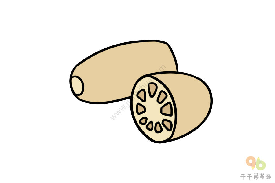 教你画藕简笔画