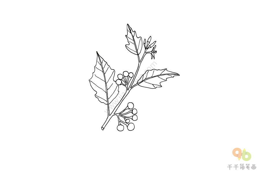 宝宝英文认知 火鸡浆果简笔画