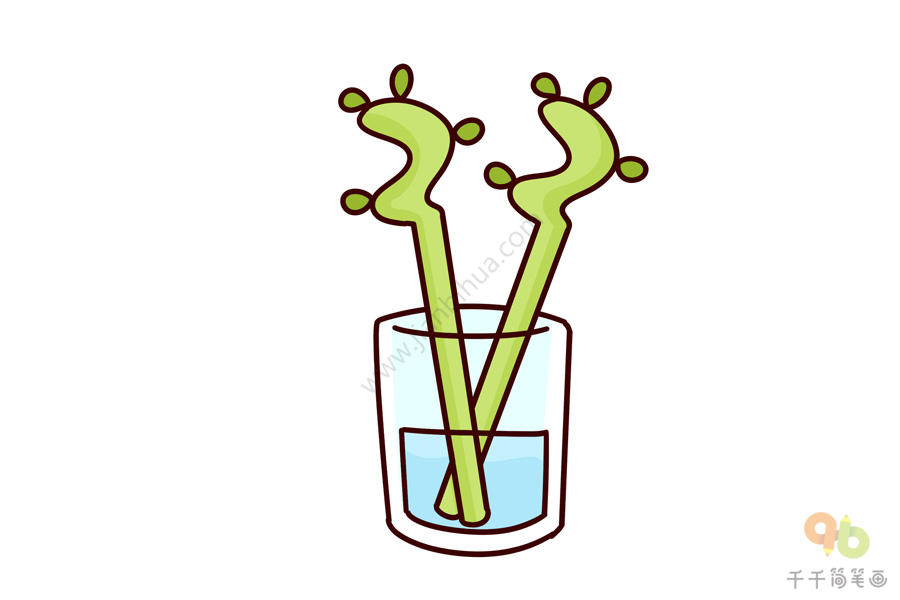 植物喝水简笔画图片