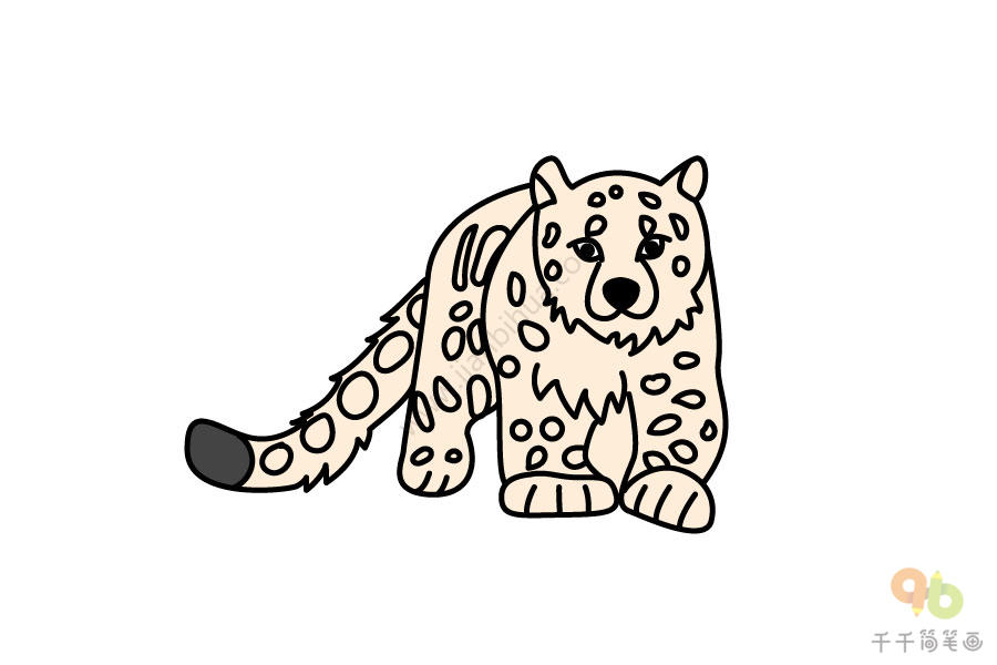 雪豹幼崽简笔画图片