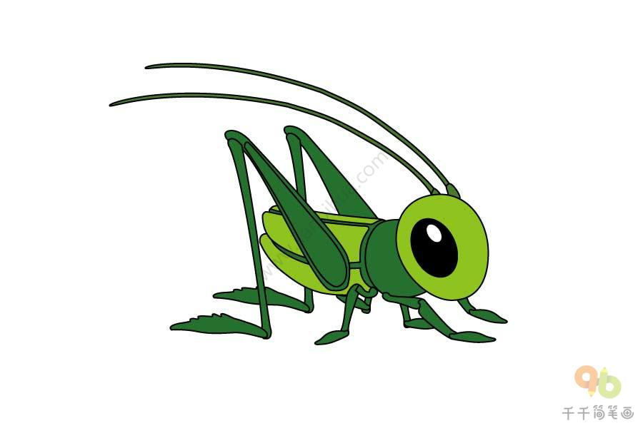 绿色的蚂蚱简笔画