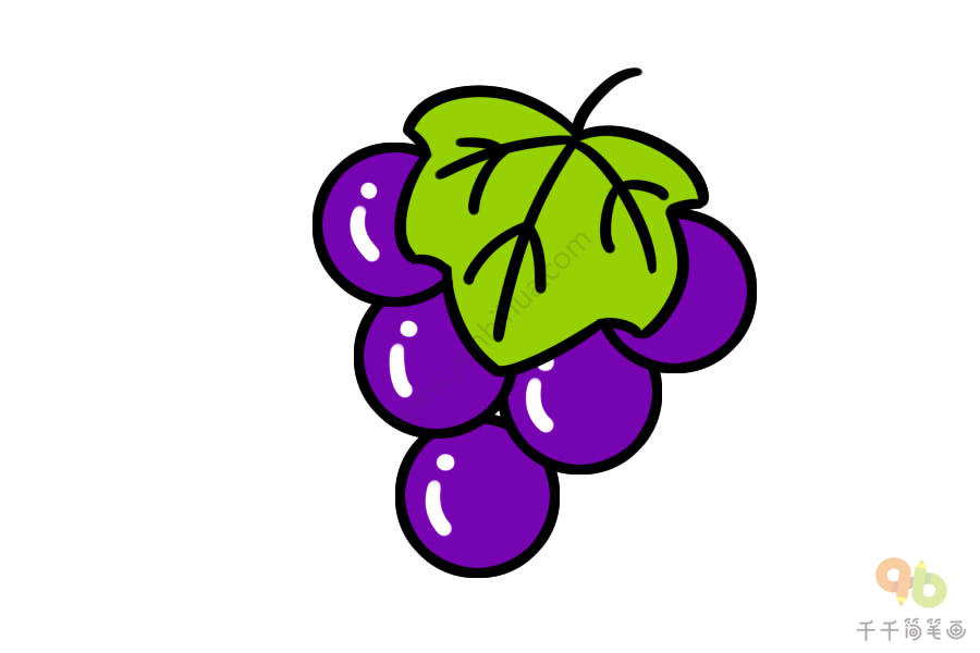 紫色水果简笔画图片
