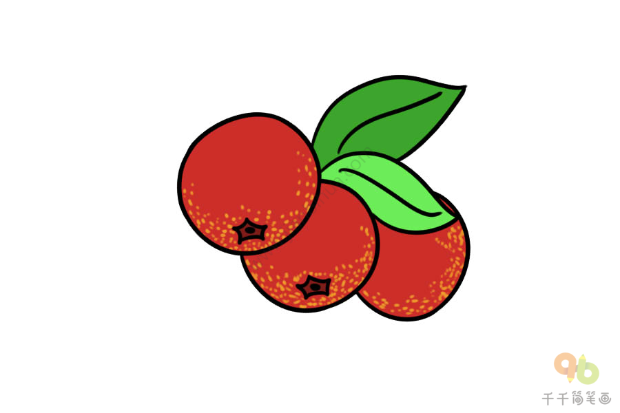 营养美味的水果 山楂简笔画大全