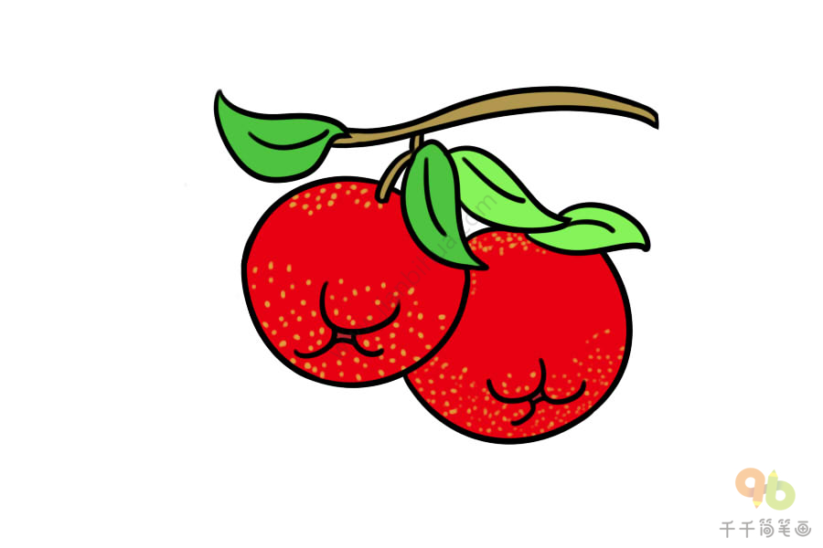 营养美味的水果 山楂简笔画大全