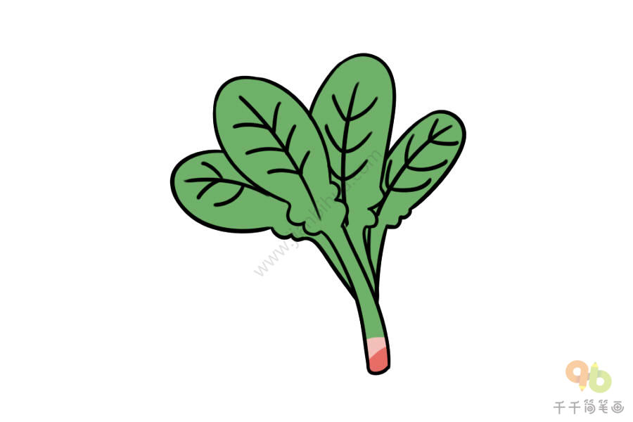 菠菜简笔画 画法图片