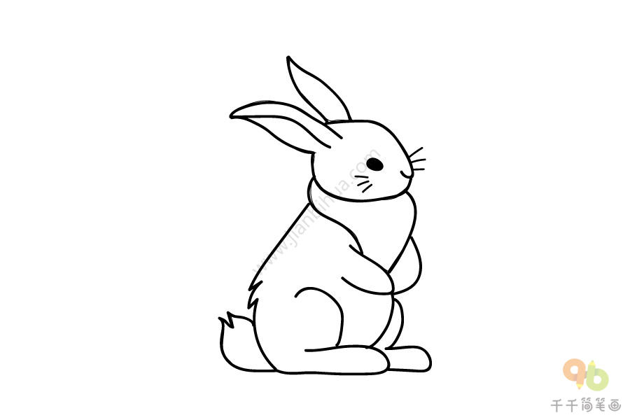 简笔画站着的兔子图片