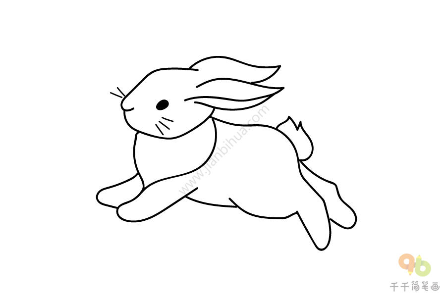 兔子简笔画 逃跑图片