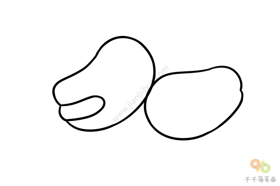 简笔画蚕豆的画法图片