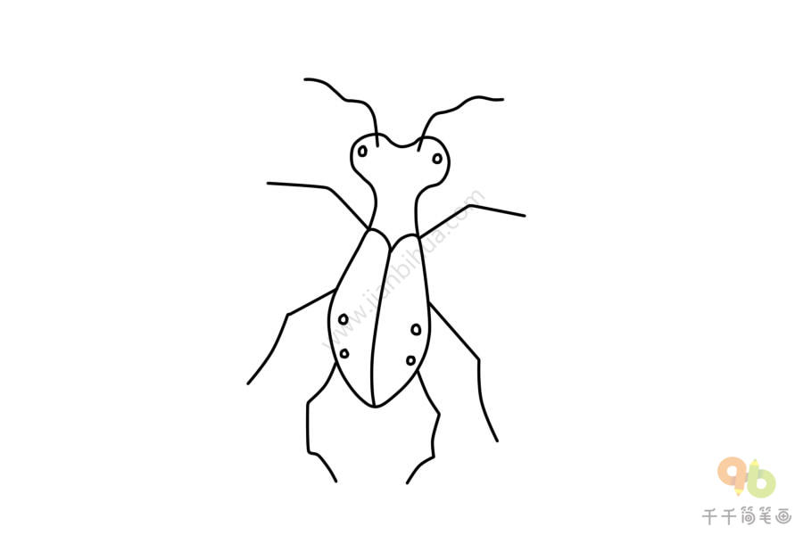 简单又好画的甲虫简笔画大全_昆虫简笔画