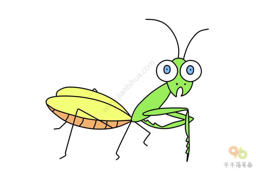 惊恐的螳螂简笔画图片