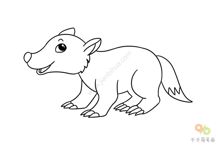 如何画獾的简笔画
