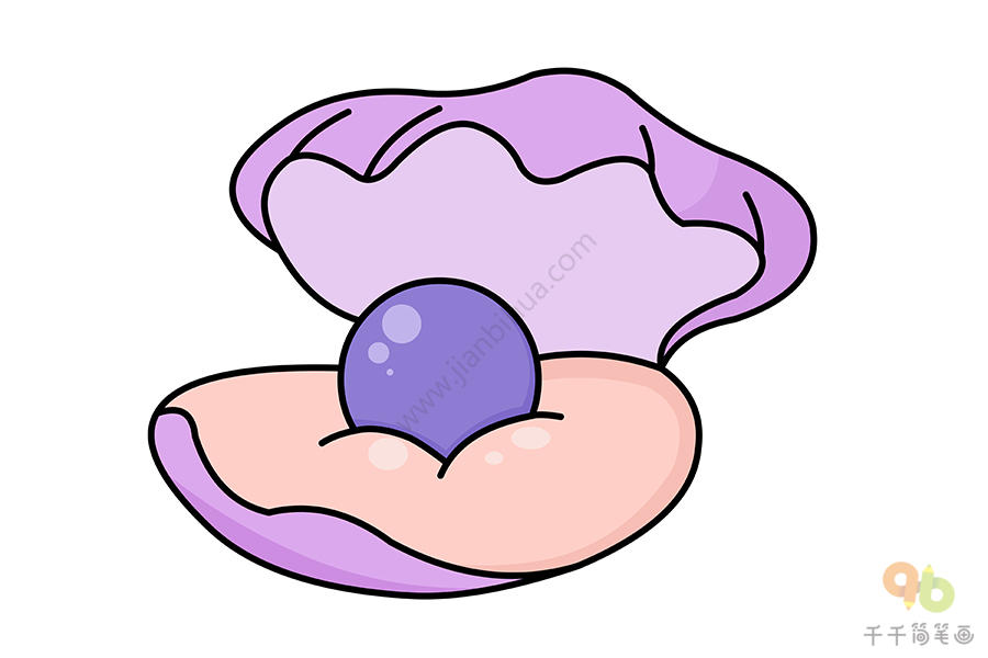 贝壳的画法简单图片
