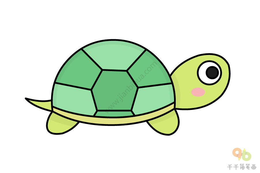 乌龟的尾巴怎么画简单图片
