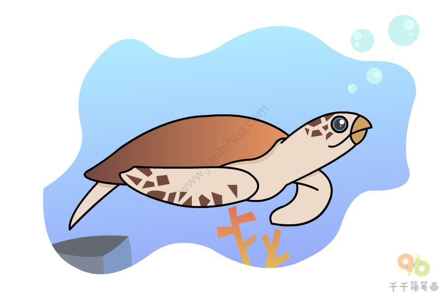 玳瑁简笔画如何画