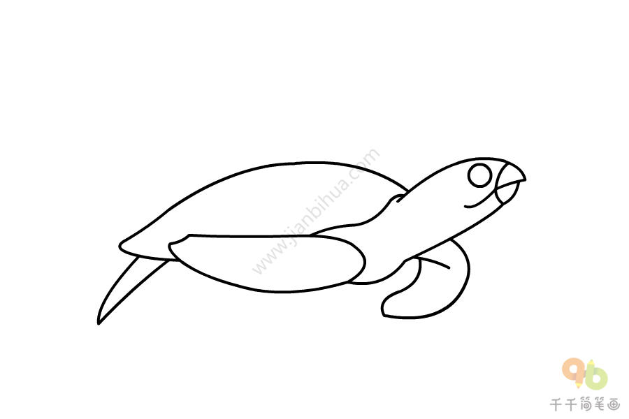 玳瑁简笔画如何画