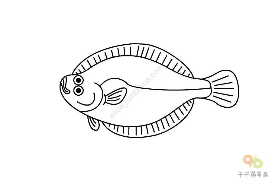 如何画鲽形目简笔画 海洋动物简笔画