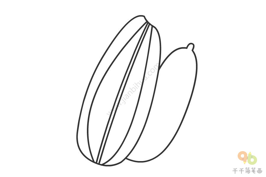 瓜子的画法简笔图片