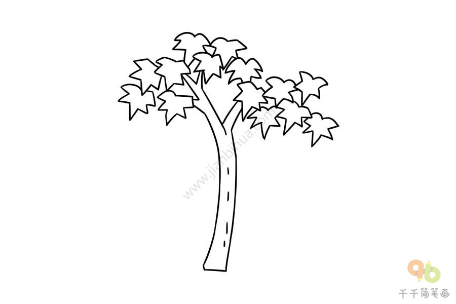 珙桐树简笔画图片