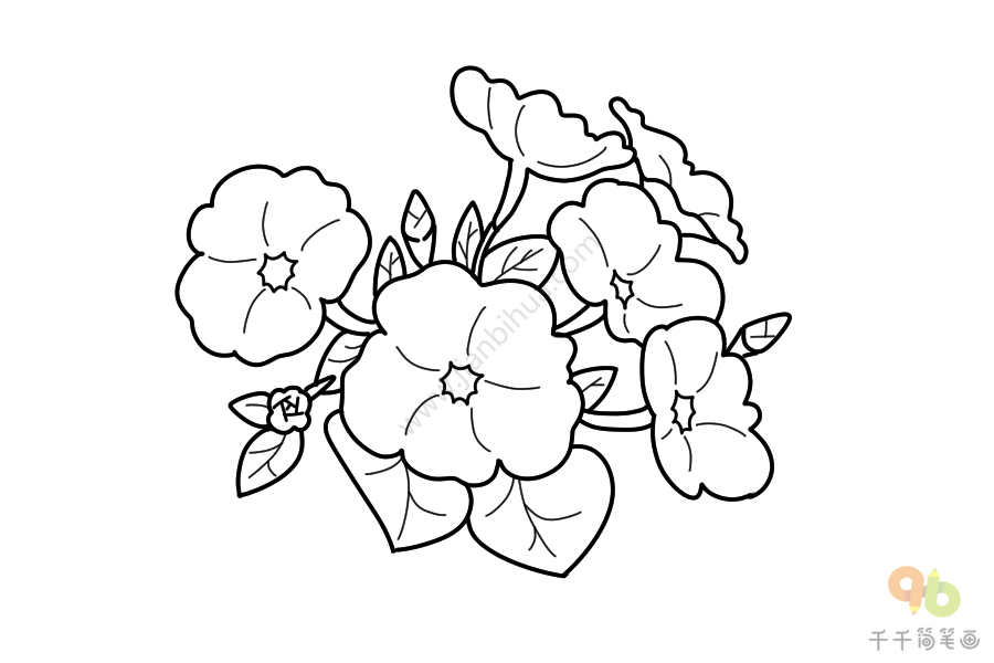 凤仙花的花萼简笔画图片