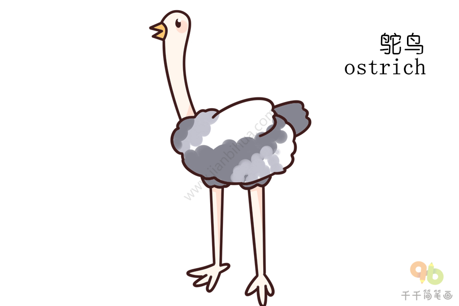 幼儿英语启蒙 边学边画鸵鸟的英文单词