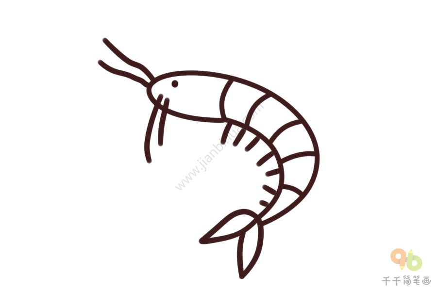 儿童学英语 教你学习虾的英文单词