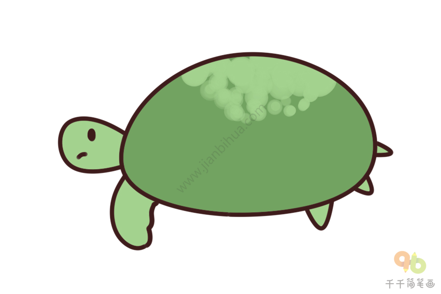 儿童学英语 轻松学会海龟的英文单词