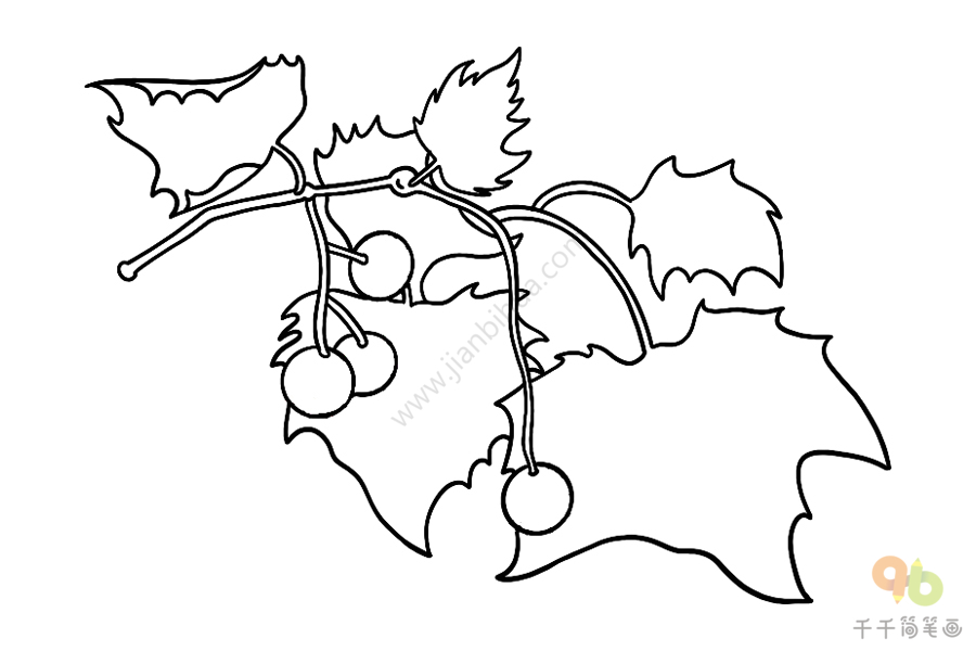 悬铃木树叶简笔画图片
