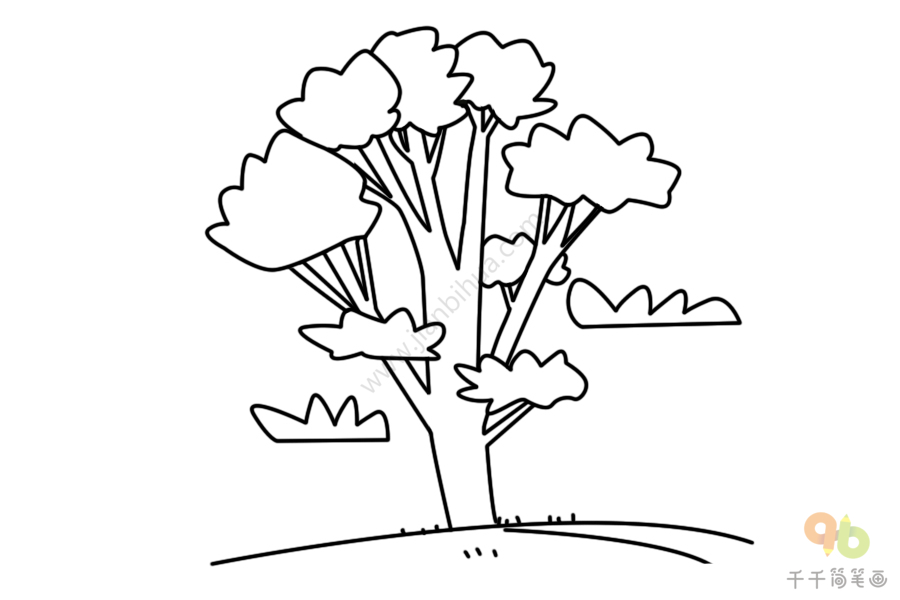 高大的朴树简笔画