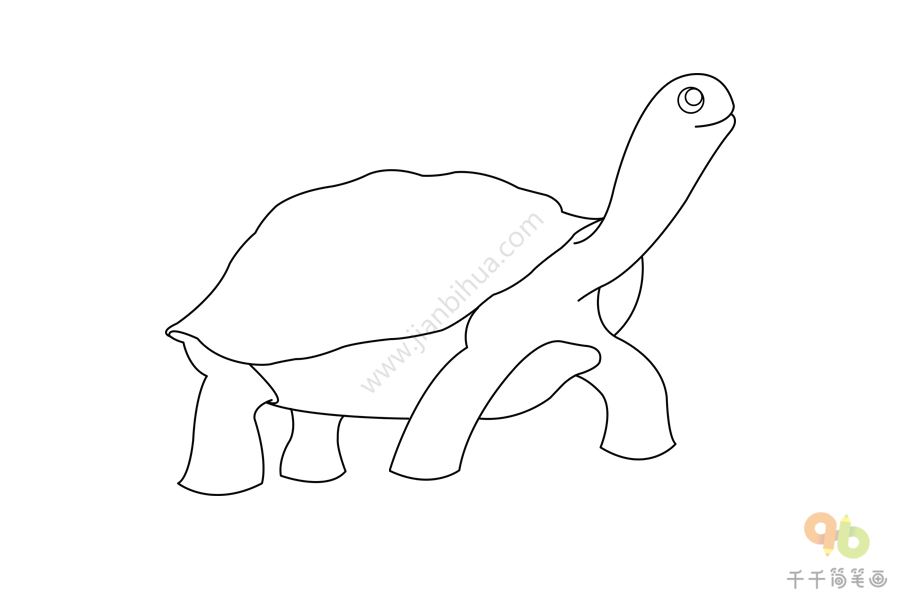 棱背龟怎么画图片