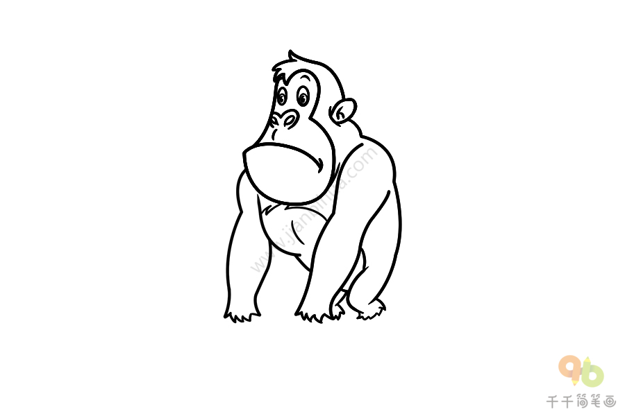 猿猴简笔画侧面图片
