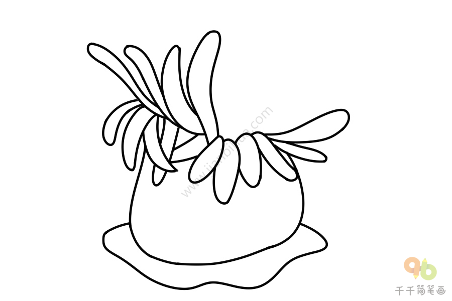 海葵线描画图片