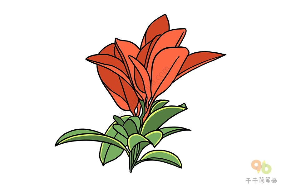红叶石楠画法图片