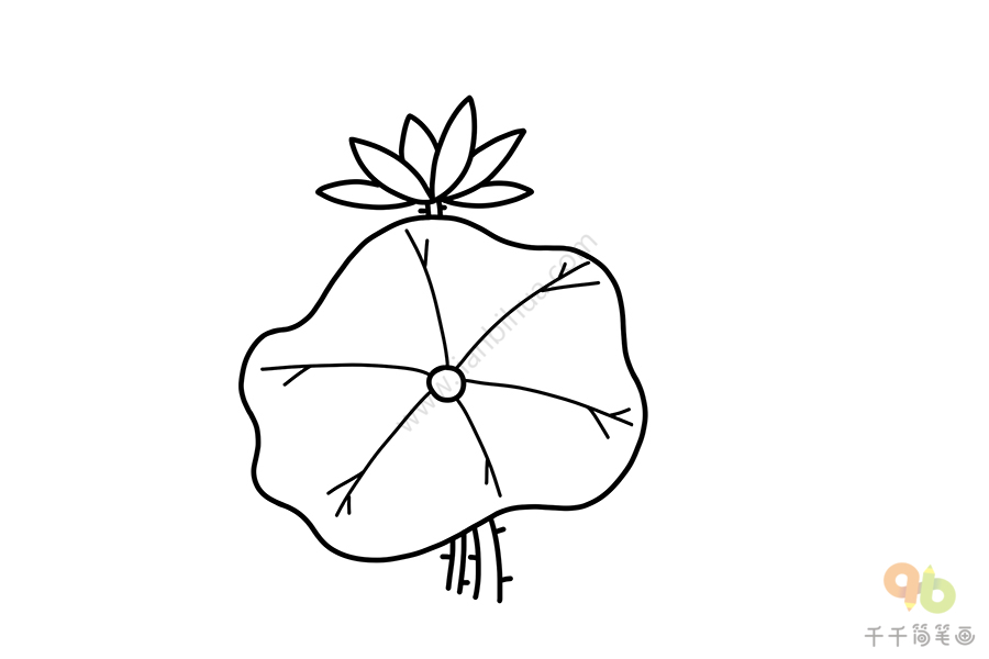 莲藕叶怎么画简笔画图片