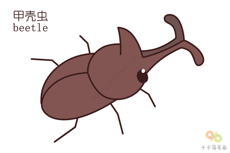 儿童学英语学习甲壳虫的英文单词 动物英文认知简笔画