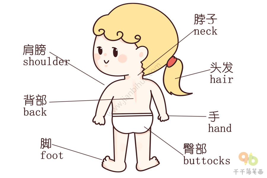 儿童学英语教你认识身体各个部位的英文单词 宝宝英文认知简笔画