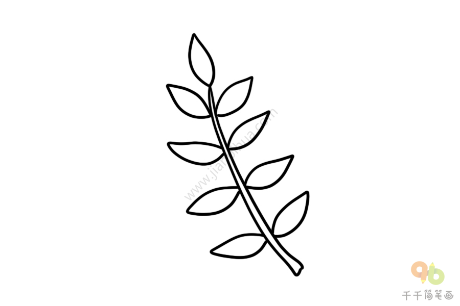 椭圆形的槐树叶简笔画图片