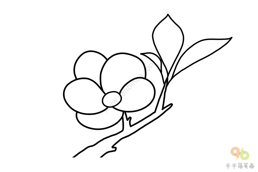 海棠花树图片简笔画图片