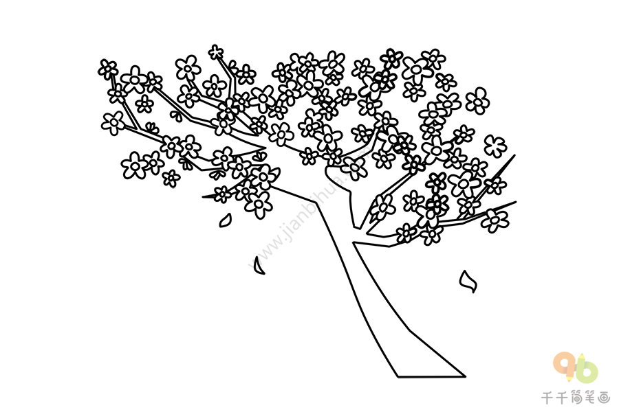 树简笔画手绘樱花树图片