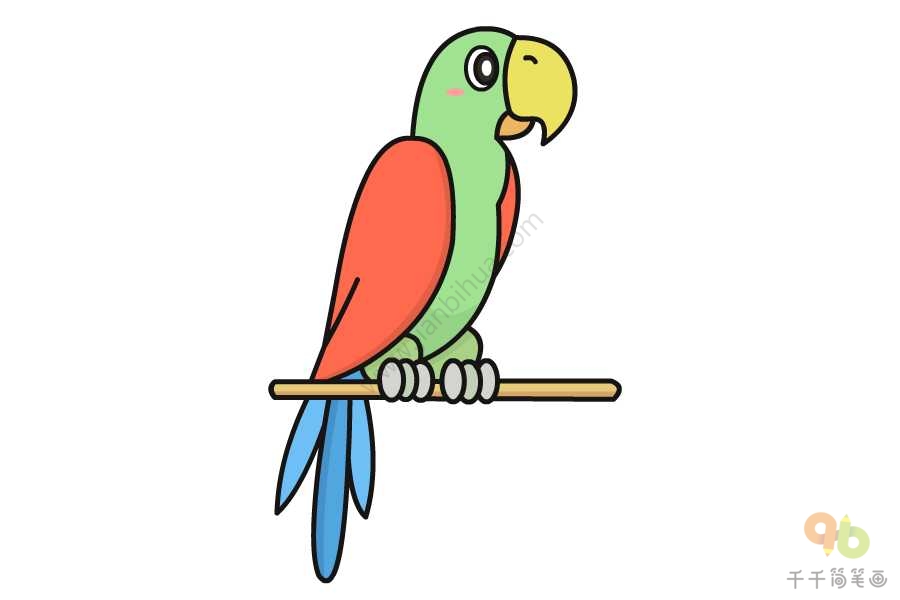 红绿鹦鹉简笔画图片