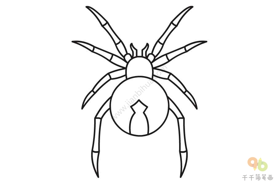 简单的蜘蛛简笔画