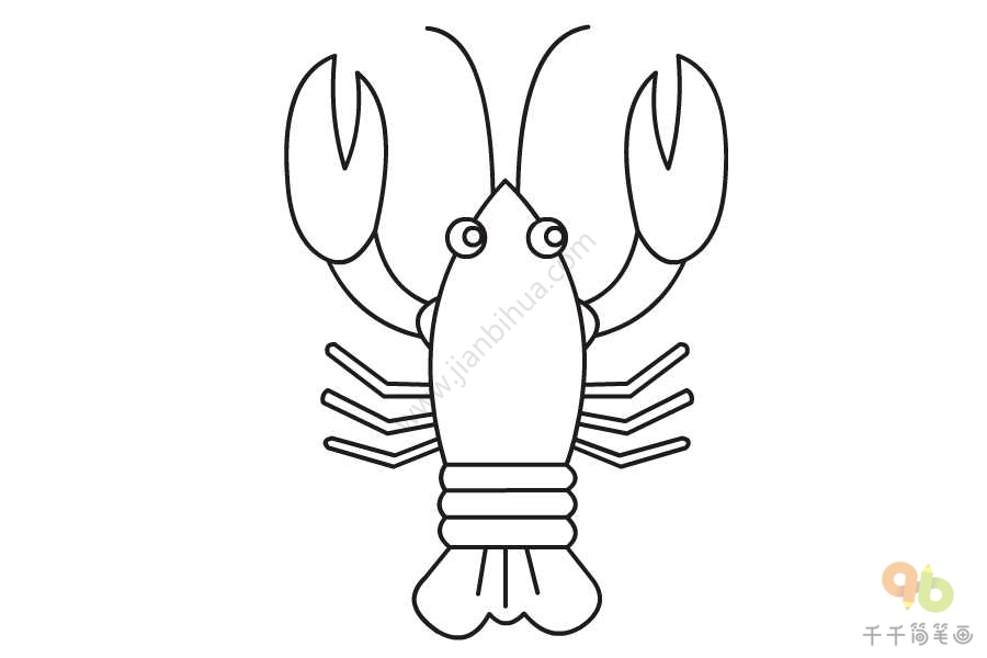 龙虾的画法图片