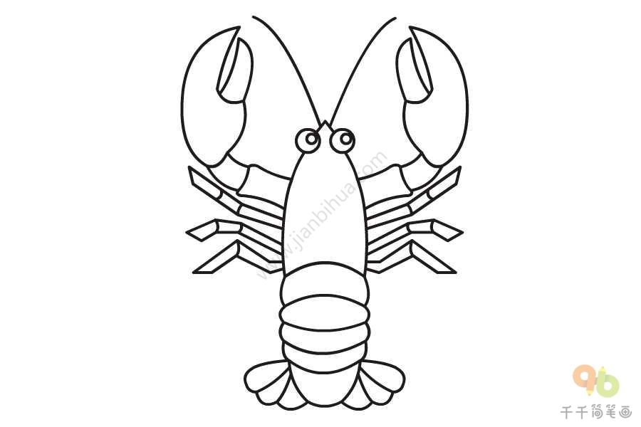 澳洲龙虾简笔画画法图片