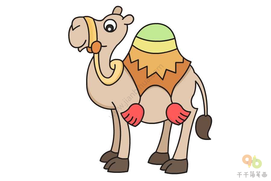 骆驼的简单画法图片图片