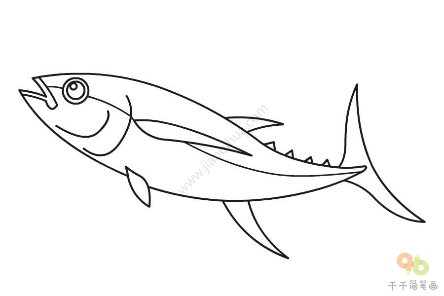 蓝鳍金枪鱼简笔画图片