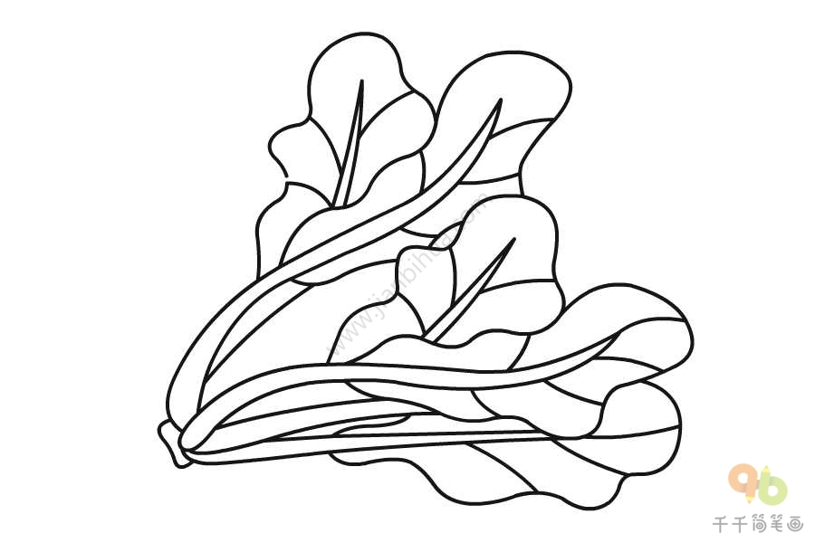 菠菜简笔画 画法图片